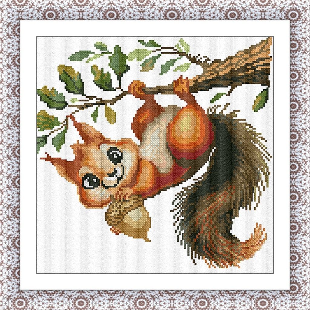 HAPPY SQUIRREL