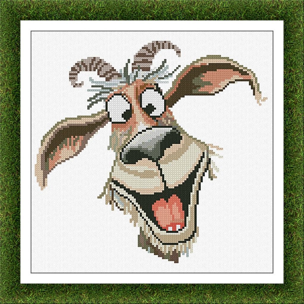 PORTRAIT OF COURTYARD : GOAT