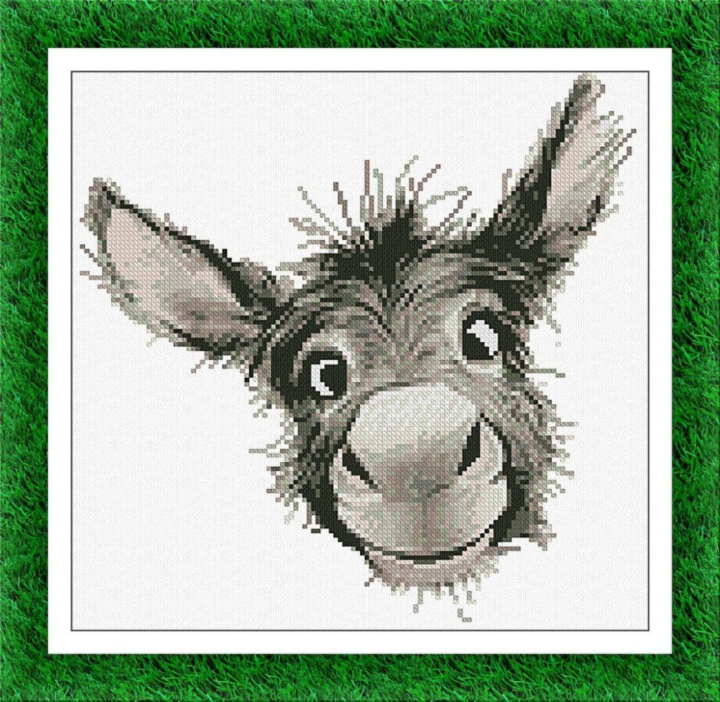 PORTRAIT OF COURTYARD : DONKEY