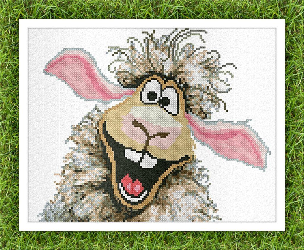 PORTRAIT OF COURTYARD : SHEEP