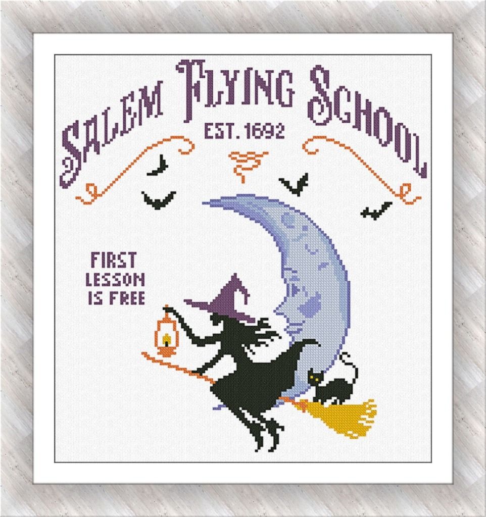 SALEM FLYING SCHOOL