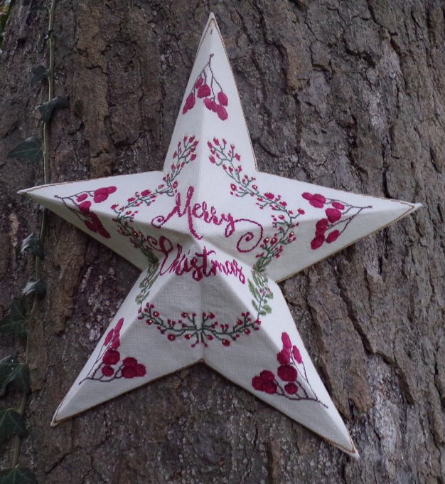 CHRISTMAS STAR