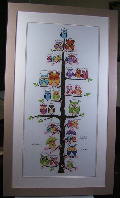 OWL FAMILY TREE