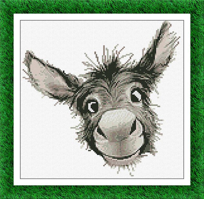 PORTRAIT OF COURTYARD : DONKEY
