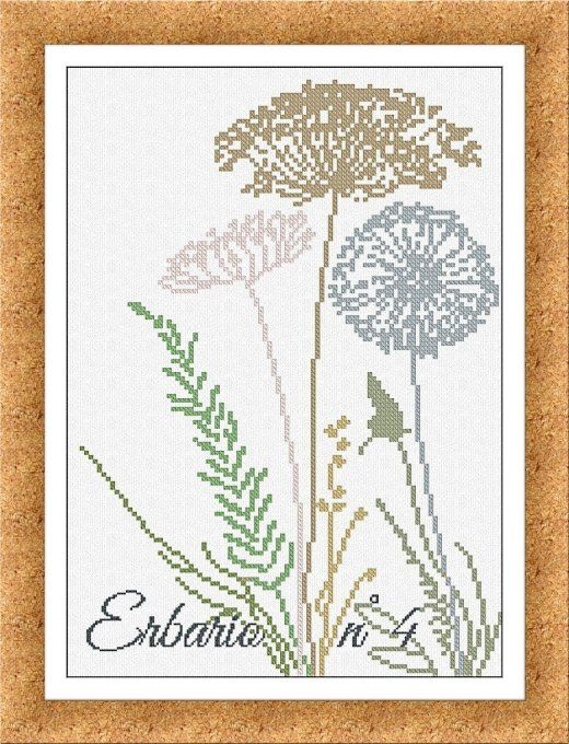 ERBARIO n° 4
