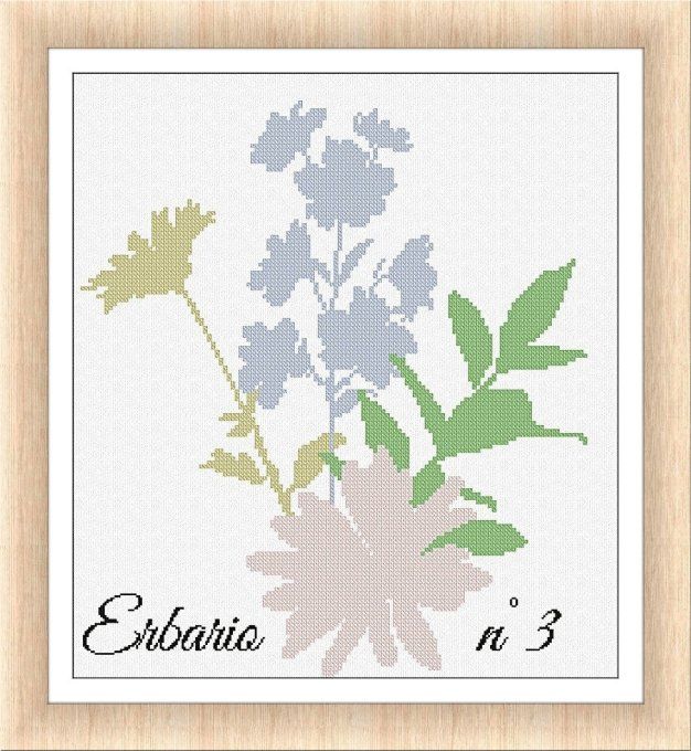 ERBARIO n° 3